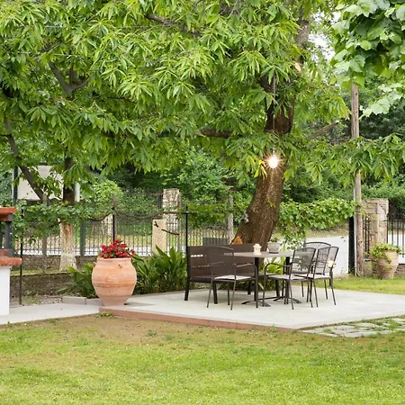 Evaggelia * Szkotína